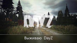 DayZ  Выжить. Опять с нуля.