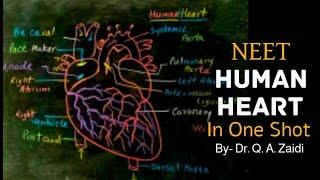 Human Heart | Human Physiology (Pre-Medical-NEET/AIIMS) | Dr. Quamar Abbas Zaidi