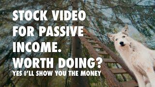 14 YEARS later do I recommend Stock Video For Passive Income?