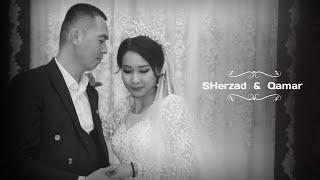 Wedding day  tiriler  Sherzad  &  Qamar