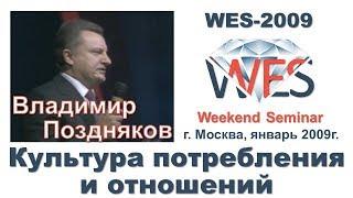 Владимир Поздняков - Культура потребления и отношений