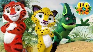 LEO and TIG   The Best Runner  NEW EPISODE  Moolt Kids Toons Happy Bear