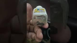 Shark Tablet   Fahad Qureshi Funny Voice Sindhi 