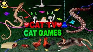 CAT GAMES | ULTIMATE CAT TV COMPILATION | ENTERTAINMENT VIDEO FOR CATS TO WATCH 4K, 8-HOURS | 