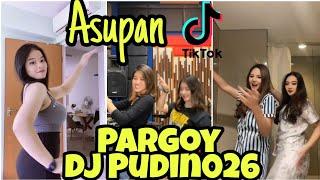 Joget TikTok Pargoy Viral 2021 || Tiktok Fyp dj Pudin026 || Tiktok Pemersatu Bangsa Terbaru ||