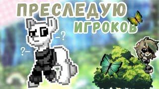 //️ПРИСЛЕДУЮ ИГРОКОВ В PONY TOWN \\ #andy  #ponytown