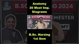 1ST SEMESTER ANATOMY B.Sc NURSING 20 MOST IMP DIAGRAM 2024 | BHUSHAN SCINECE | NURSING INC SYLLABUS