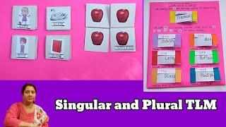 Singular and Plural TLM | Teaching and Singular and Plural | English Grammar Teaching Aids