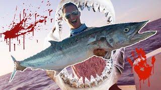 Fishing Shark INFESTED Waters for BIG Fish! *We Got SHARKED*