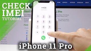 How to Locate IMEI & SN in iPhone 11 Pro - IMEI Status