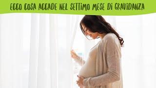 Settimo mese di gravidanza - Cosa succede alla mamma e al bambino?