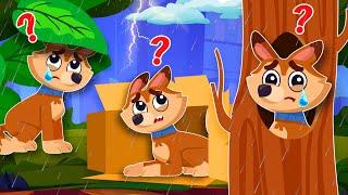 Where Is My Home  | Kids Songs | Comy Zomy