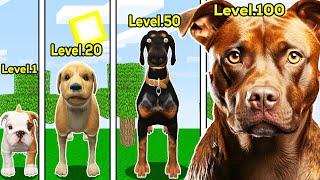 KÖPEK SEVİYELERİ  - Minecraft