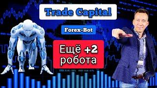 Робовладелец докупил ещё двух роботов #TradeCapital #Forex #Roboforex