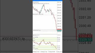 $20 to $44 New strategy #ytshorts #youtubeshorts #viralshorts #forexlive #forexlive