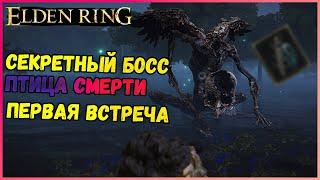 Секретный босс ПТИЦА СМЕРТИ №1 Как получить талисман меч с синими перьями Elden ring