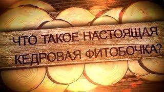 Что такое настоящая кедровая бочка?