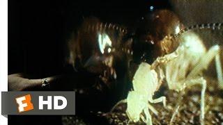 Mimic (1/9) Movie CLIP - Entomology 101 (1997) HD