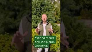 ПРОФЕССИОНАЛЬНЫЙ УХОД ЗА САДОМ стал доступен каждому