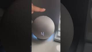 Amazon Tech Finds- Amazon Echo Dot  #shorts #youtubeshorts