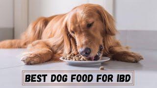 Best Dog Food for IBD - Top 5 Dog Food of 2021