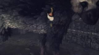 НЫРЯЙ!! [#13 The Last Guardian]