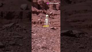 NASA's Secret Mission: Discovering a New Earth! || Snappy Stories