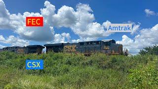 FEC CSX & Amtrak on a great August Weekend