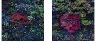 VACK SOOSOUNG LANDSCAPE RED - VACKSBOOK  2014.