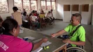 Political participation of persons with disabilities