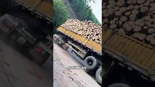 DETIK - DETIK TRUK BERMUATAN KAYU INI TERGULING SAAT MELEWATI TIKUNGAN YANG CURAM #shorts