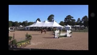 Voodoo 2nd Place Maclay