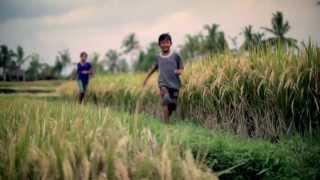 Comfort One Rinse - Paddy story