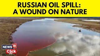 Russian Oil Spill In Black Sea Has Now Got Hundreds Of Volunteers For Cleanup Efforts | N18G