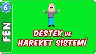 Destek ve Hareket Sistemi |  6. Sınıf Fen evokul Kampı