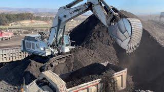 Liebherr 984 Excavator Loading Coal On Trucks With Two Passes - Sotiriadis/Labrianidis Mining