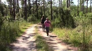 Out In Green Swamp With Bigfoot Anon