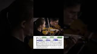 Maurice Ravel - String Quartet in F major #music #classicalmusic #musicscore #라벨콰르텟