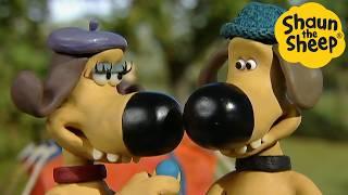 Shaun the Sheep  Dog in Love - Cartoons for Kids  Full Episodes Compilation [1 hour]