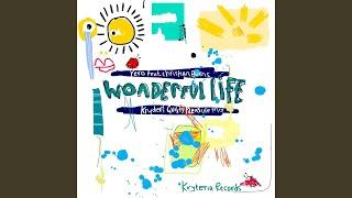 Wonderful Life (Kryder's Extended Guilty Pleasure Mix)