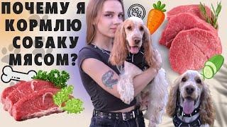 КОРМ ИЛИ МЯСО | НАТУРАЛЬНОЕ ПИТАНИЕ ДЛЯ СОБАКИ 