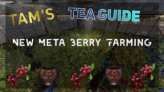 Rust | Tam's Tea Guide (Berry Farming)