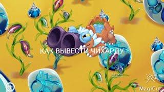 КАК ВЫВЕСТИ ЧИХАРДУ/MY SINGING MONSTERS