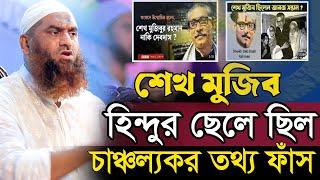 শেখ মুজিব হিন্দুর ছেলে ছিল? ।। মামুনুল হকের বক্তব্য ।। Mamunul Haque ।। নতুন ওয়াজ 2024