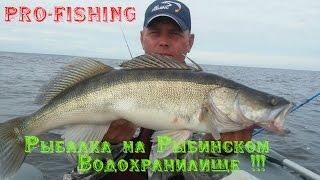 PRO-FISHING Рыбалка на рыбинском водохранилище !!!