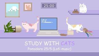 Study with Cats  Pomodoro Timer 25/5 x Animation | For your relaxing study session | Lofi bgm