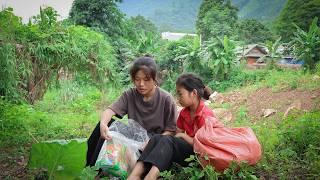 Homeless girl helps poor starving child  | Ly Tieu Ai