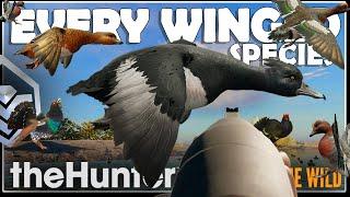 Hunting EVERY WINGED SPECIES in the GAME!!! (Ducks, Geese, Turkeys, Upland Birds)- Call of the Wild