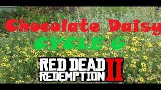 RDR2 Chocolate Daisy Flower Locations (Cycle 6)