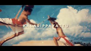 Kalarippayattu Training - Kalari Lab Online: Your Path to Absolute Focus